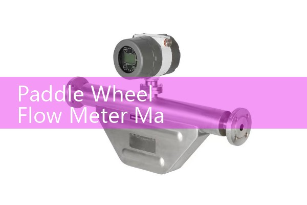 Paddle Wheel Flow Meter Manufacturers: Top Global Liquid Sensor Brands